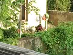 ໂອໂຫດແກ໊: ກະທັດຮັດໄດ້ກ່ຽວກັບການເຂົ້າໄປໃນເນື້ອໄມ້ທີ່ໂຄນໄປແລະກັບ
